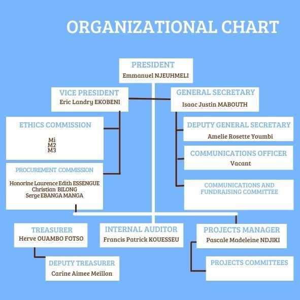 new organigramme