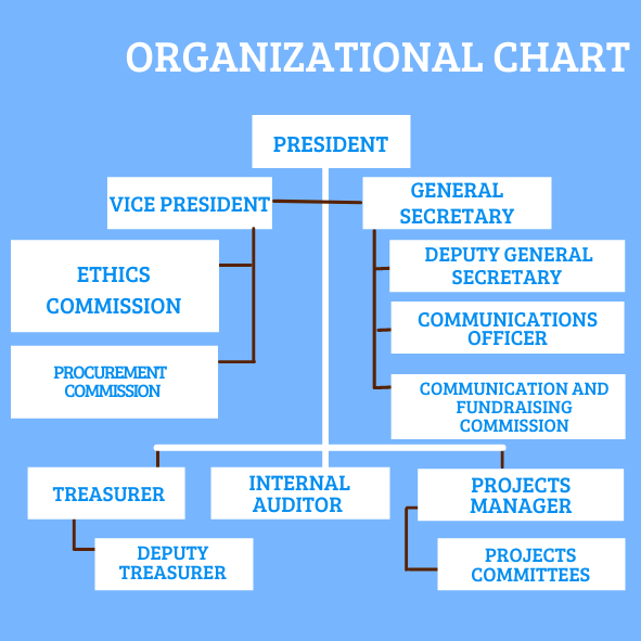 organigrame sans nom